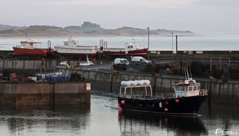 29 March 2017 - Sunrise over Seahouses © Ian Foster / fozimage